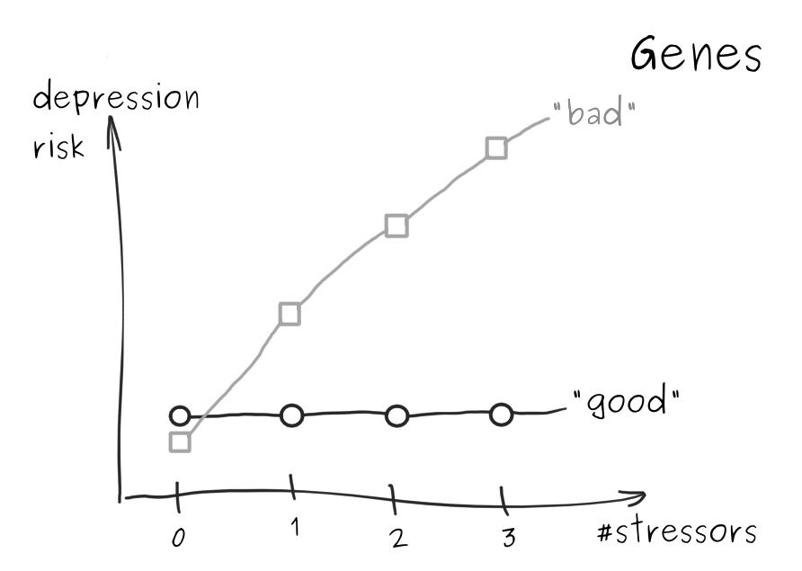 A plot showing the "bad" gene being better without any stressors, but much worse with stressors.