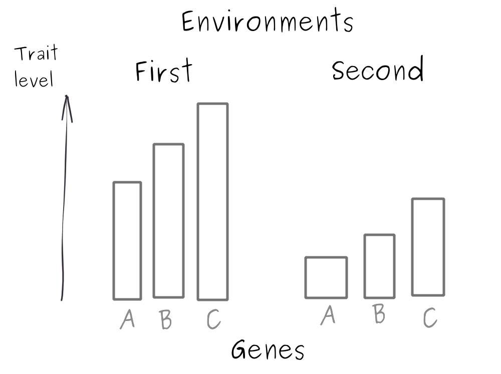 A histogram showing environment affecting the trait value much more than the gene